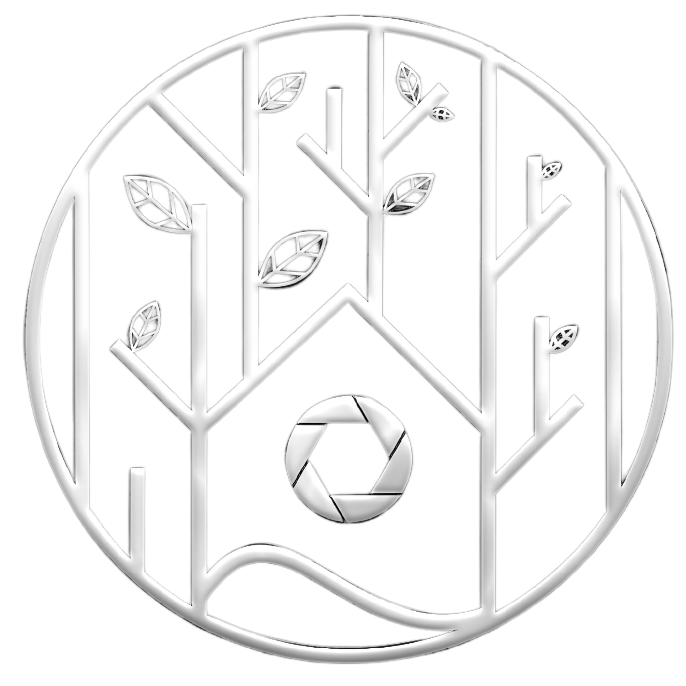 Logo.img